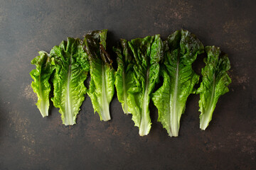 Wall Mural - A top down view of a layer of red leaf lettuce.