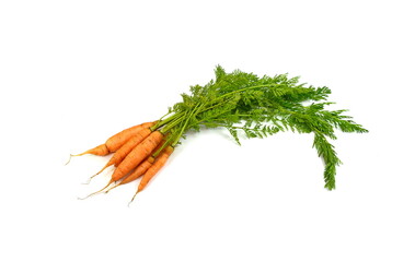 Wall Mural - Carrot vegetable with leaves isolated on white background cutout