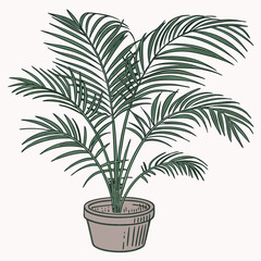 Poster - Palm tree plant in pot vector illustration