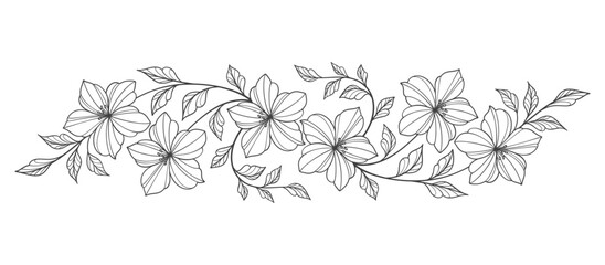 Wall Mural - Line art floral botanical on transparent background vector. floral, flowers, leaves, foliage, branches in hand drawn. Floral element design