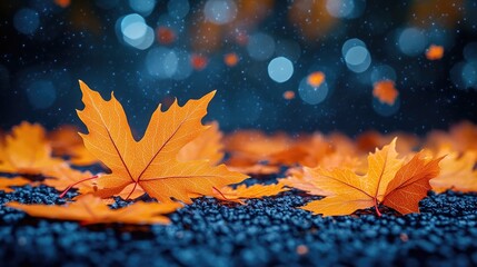 Wall Mural - Vibrant autumn leaves scattered on a dark surface with a blurred bokeh background, evoking a serene atmosphere