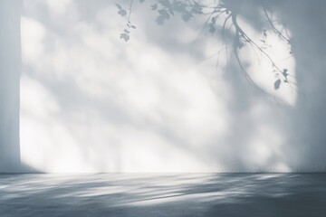 Wall Mural - Sunlight shadow wall backdrop studio minimal product