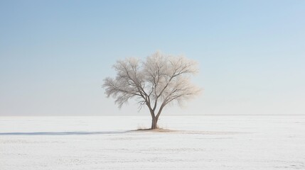 Wall Mural - A single tree standing in the middle of a vast white desert.