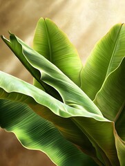 Poster - Lush Tropical Banana Leaves, Abstract Art - Abstract art