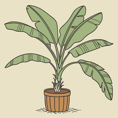 Sticker - Banana tree plant in pot vector illustration