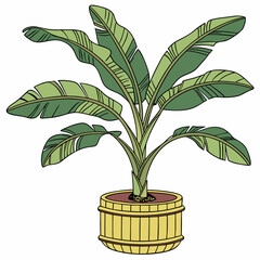 Sticker - Banana tree plant in pot vector illustration