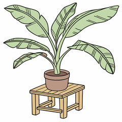 Sticker - Banana tree plant in pot vector illustration