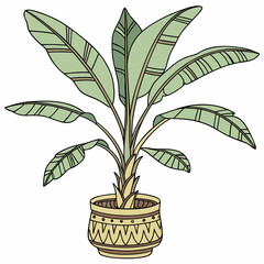 Sticker - Banana tree plant in pot vector illustration