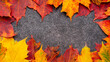 © ErenMotion - Autumn leaves background with copy space.