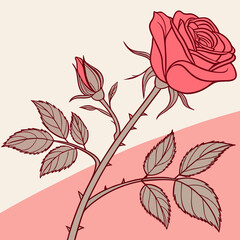 Wall Mural - red rose vector illustration