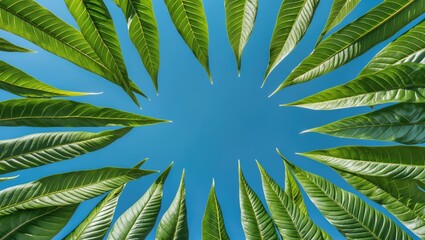 Poster - Vibrant Green Leaf Frame Against Clear Blue Sky with Space for Text or Branding. Ideal for Nature Themes and Eco-Friendly Designs.