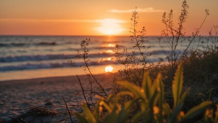 Leinwandbilder - Golden Sunrise Over Ocean with Silhouette of Beach Vegetation and Gentle Waves in the Background