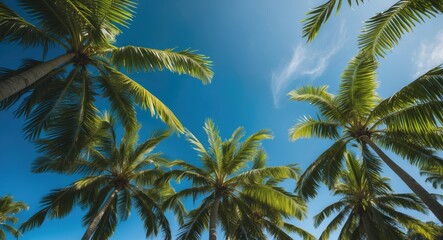Poster - Tropical Green Palm Fronds Reaching Towards Clear Blue Sky in Lush Paradise Setting Ideal for Vacation and Relaxation Concepts
