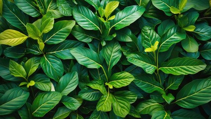 Aufkleber - Lush Green Leafy Background Ideal for Nature Themes and Summer Designs