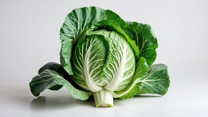 Poster - Fresh Green Cabbage Isolated on White Background with Space for Custom Text or Design Elements