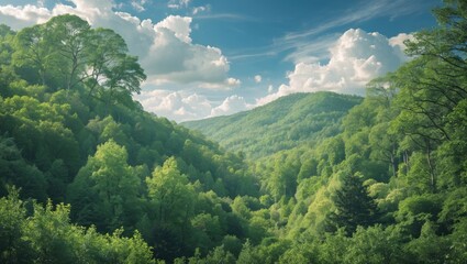 Aufkleber - Lush Green Forest Landscape Under a Bright Blue Sky with Fluffy White Clouds in a Serene Mountainous Setting
