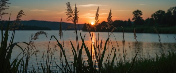 Aufkleber - Silhouette of Grass at Sunset by Tranquil Lake with Reflection and Empty Space for Text in Serene Natural Landscape