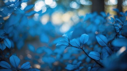 Wall Mural - abstract blurred blue leaves in a forest with soft bokeh light creating a serene and calm atmosphere