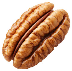 Close Up of a Single Pecan Nut on Transparent Background in Detailed Studio Shot