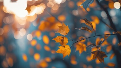 Wall Mural - golden autumn leaves with gentle bokeh in a serene evening light creating a dreamy abstract backgrou