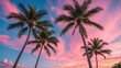 © CreativeBro - Silhouette of palm trees against a vibrant pink and blue sunset sky with wispy clouds and ample copy space for text