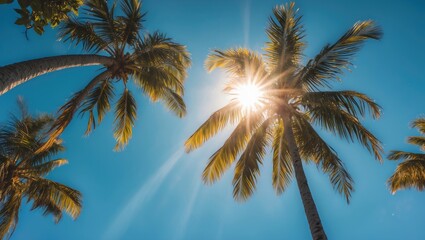 Wall Mural - palm trees silhouetted against a clear blue sky with sun rays shining through leaves and bright sunl