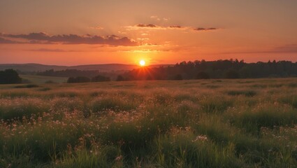 Sticker - Sunset over a lush green meadow with wildflowers and rolling hills under a colorful sky with clouds Copy Space