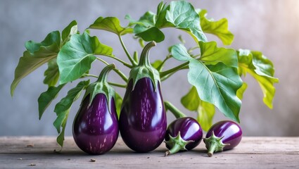 Sticker - Fresh purple eggplants with green leaves on a wooden table soft natural light Copy Space