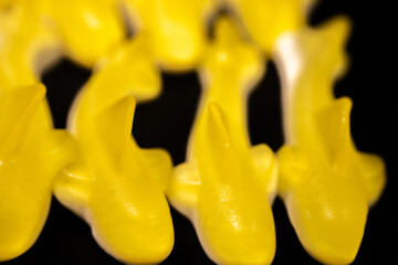 Wall Mural - A close-up of several yellow gummy shark candies with a shiny, translucent texture arranged on a black surface. The candies look soft and chewy.