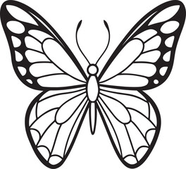 Wall Mural - butterfly line art, black outline, vector and illustration, line art and outline