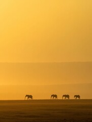Leinwandbilder - Elephants walking gracefully across a golden landscape during sunset. Generative AI