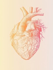 Poster - Artistic illustration of a human heart showcasing intricate details and veins in vibrant colors. Generative AI