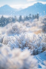 Wall Mural - frost-covered shrubs in a snowy landscape with mountains in the background.