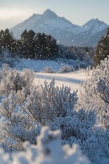 Wall Mural - snow-covered bushes in foreground with snow falling and mountains in the background at sunrise.