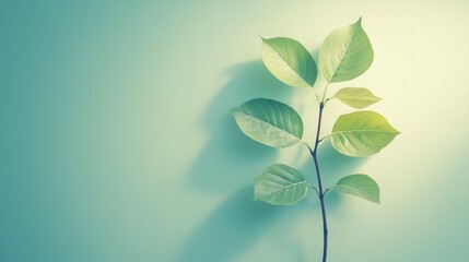 Poster - Green sprig, pastel background, sunlight, growth, nature