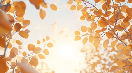 Wall Mural - Golden autumn leaves frame sunset; nature background