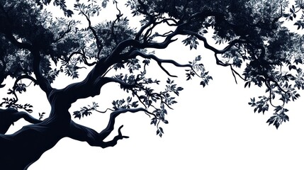 Dark Tree Branch Silhouette, White Background, Nature, Design