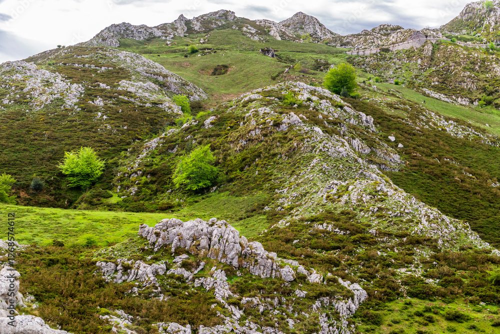 Asturias A Green Paradise On The Way To Covadonga And Its Lakes Stock asturias-a-green-paradise-on-the-way-to-covadonga-and-its-lakes-stock