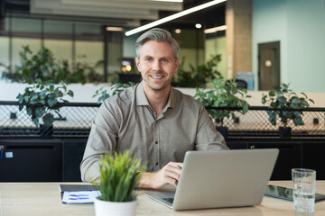 Wall Mural - Young handsome businessman using laptop at his office desk