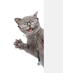 Poster - Happy cat dressed like a doctor with stethoscope on his neck looks from behind blank white banner. isolated on white background.