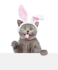 Aufkleber - Surprised kitten wearing easter rabbits ears looks above blank white banner. Isolated on white background