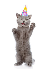Poster - Winking kitten wearing party cap standing on hind legs and looking at camera. isolated on white background