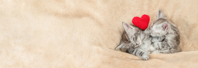 Aufkleber - Two maine coon kittens sleep on a bed at home with red heart. Empty space for text