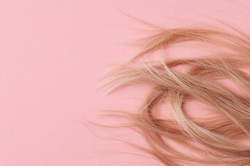 Aufkleber - Frayed hair tips with split ends resting on a soft pink background ready for care products and styling tips. Generative AI