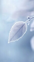 Poster - Close-up view of a frosted leaf showcasing intricate textures and details in a serene winter environment