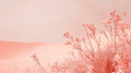 Aufkleber - Flowers bloom gently against a minimalist monochromatic background in muted hues during a serene moment in nature