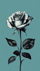 Wall Mural - Monochrome rose with stem and leaves on teal backdrop