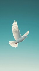 Wall Mural - White dove flying peacefully against a gradient blue sky