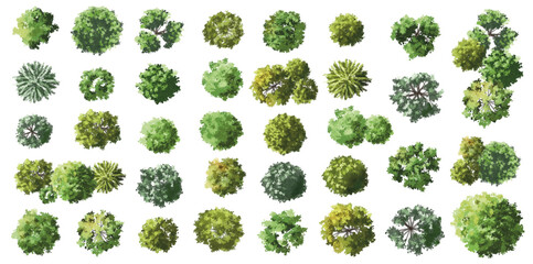 Wall Mural - vertor set of green tree,plants top view for landscape plan,schematic layout,eco environment concept
