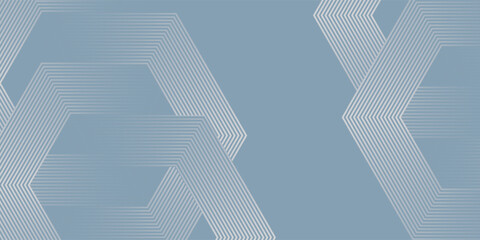 Wall Mural - abstract hexagon lines on gray background. geometric stripe line art design modern, vector.